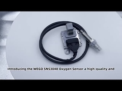 5WK96694C 12V اکسید نیتروژن NOX حسگر برای کامیون یورو OEM 2296800